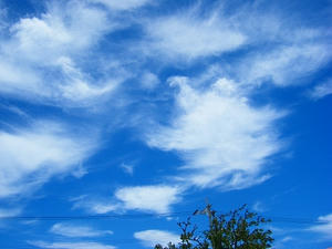 DSCF5999.jpg