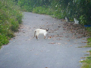 DSCF5989.jpg