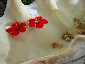 DSCF5229.jpg