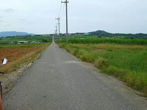 DSCF5231.jpg