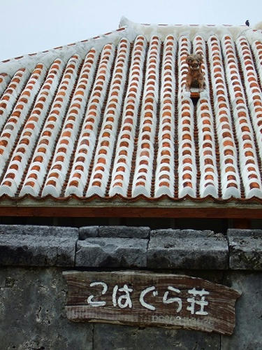 DSCF5236.jpg