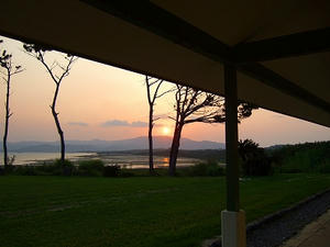 DSCF5331.jpg