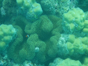 DSCF5267.jpg