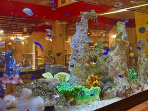 DSCF5338.jpg
