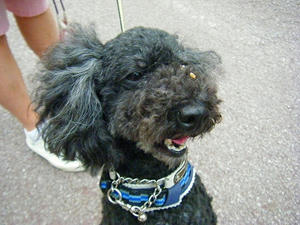 DSCF5050.jpg