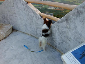 DSCF5457.jpg