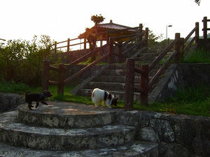 DSCF5481.jpg