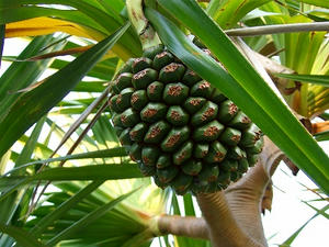 DSCF5485.jpg