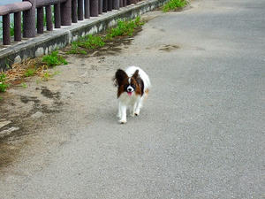 DSCF5522.jpg