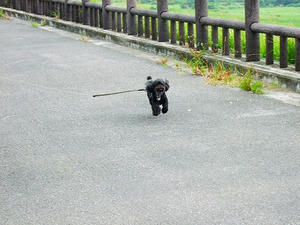 DSCF5520.jpg