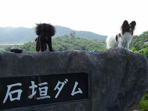 DSCF5573.jpg