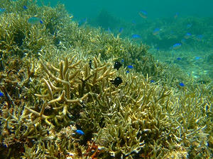 DSCF5639.jpg