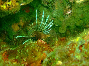 DSCF5655.jpg