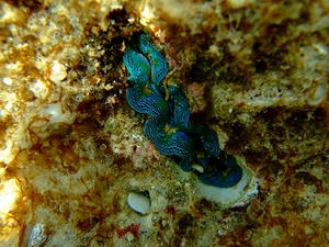 DSCF5680.jpg