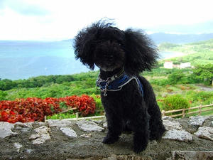 DSCF5748.jpg