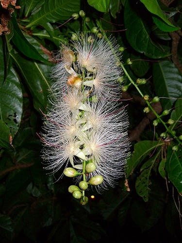 DSCF5772.jpg