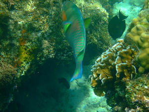 DSCF5813.jpg