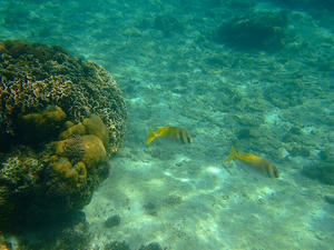 DSCF5814.jpg