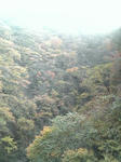 naruko1