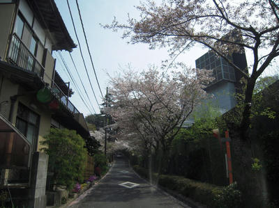 20090405-003.jpg