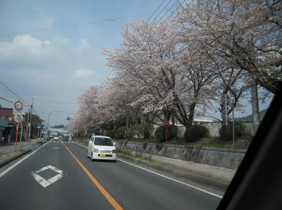 20090405-004.jpg
