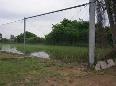 20090517-002.jpg
