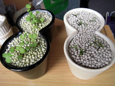 20090619-003.JPG