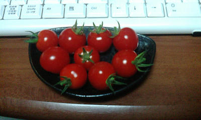 20090806004950.jpg