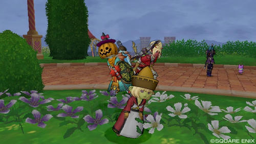 14687439.jpg
