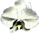 8e9e066c.jpg