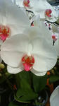 201004171403000.jpg