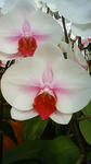 201004171404000.jpg