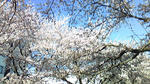 f375847a.JPG
