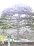 1388e98e.jpg