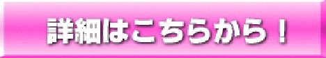 syousai.gif
