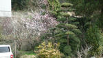 P1000872.jpg