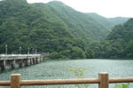 P1010434.jpg