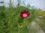P1080644.jpg