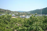 arita-001.jpg