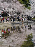 nisinomiya-kennji-008.jpg