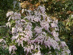 nisinomiya-kennji-029.jpg