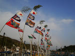 hataP1040072.jpg