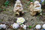 P1000781kobito.jpg