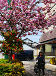 toyama4P1000889.jpg