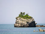toyama34P1000864.jpg
