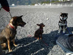 2011_03140009-2.jpg