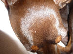 2011_03140006-2.jpg