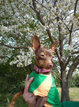 2011_04170032-2.jpg