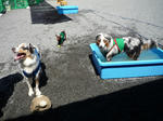 2011_07170012-2.JPG