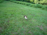 2011_08070042-2.jpg